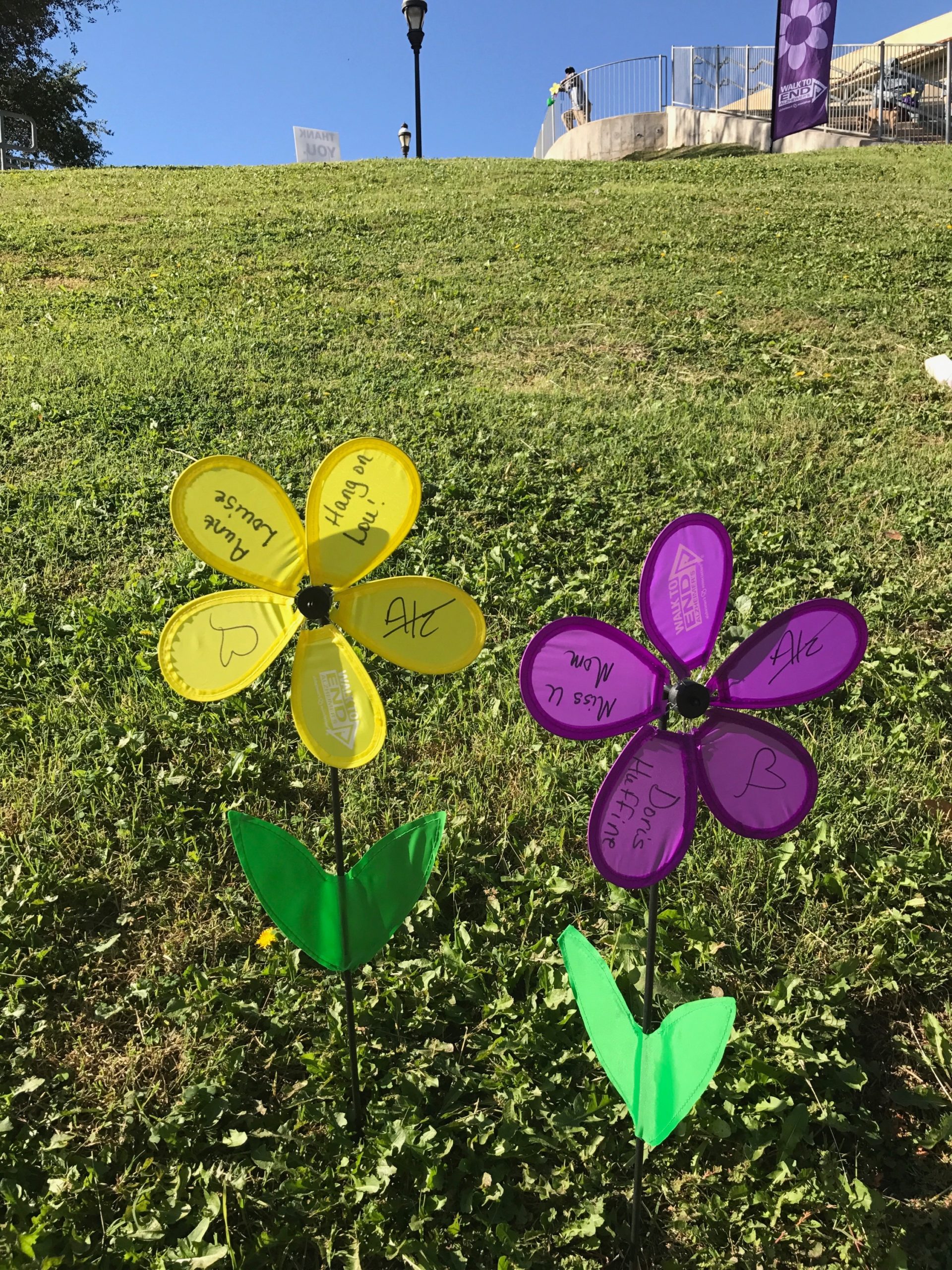 Alzheimer's Walk